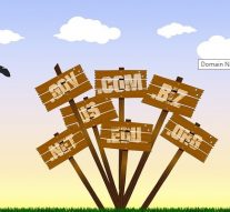 Mnogi koriste hrvatsku nacionalnu domenu