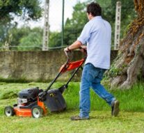 Kosilica je nezaobilazan alat za uredan travnjak